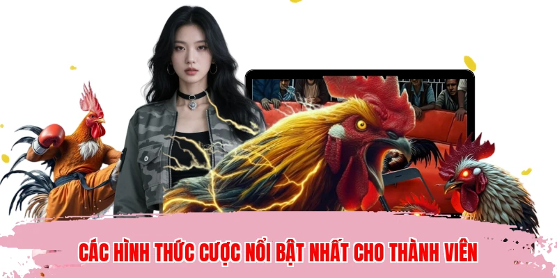Các hình thức cược nổi bật nhất cho thành viên