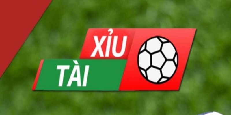 Chú ý giúp quá trình cá cược trở nên hiệu quả