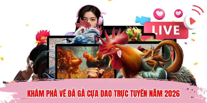 Khám phá về đá gà cựa dao trực tuyến năm 2026