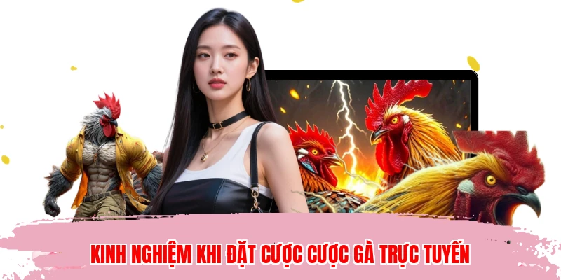Kinh nghiệm khi đặt cược cược gà trực tuyến