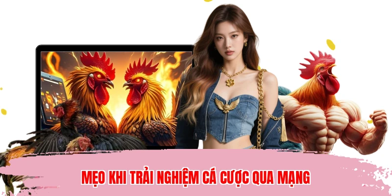 Mẹo khi trải nghiệm cá cược qua mạng